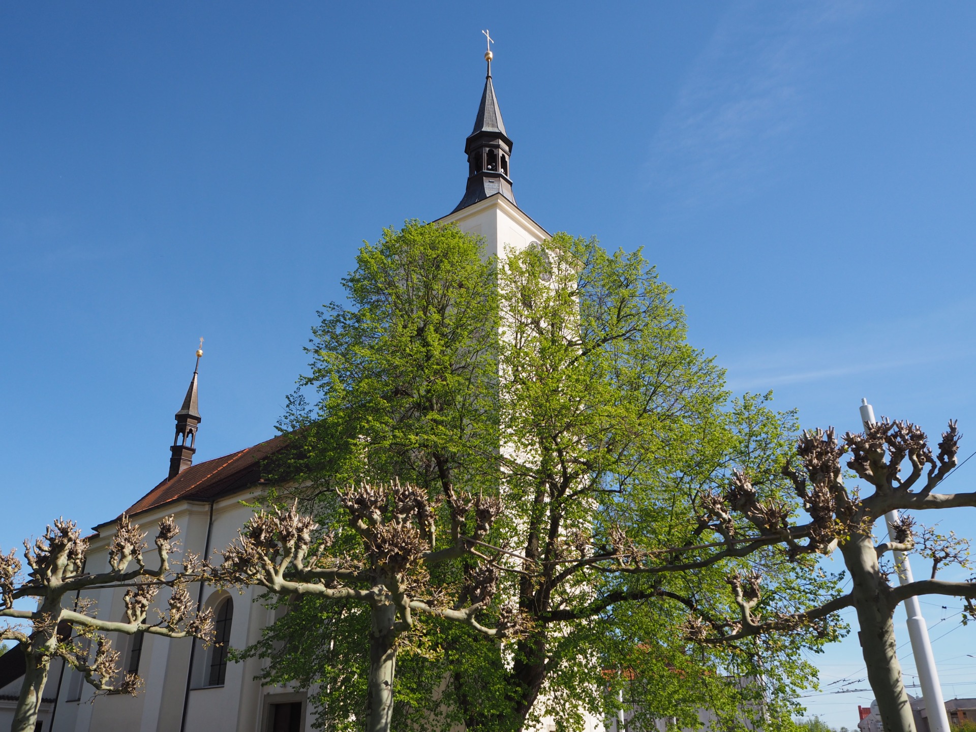 Kostelní věž s křížem nad stromy, na pozadí modrá obloha, jarní listí a větve.
